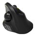 PORT DESIGNS Mouse Ergonomic Rechargable