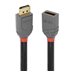 LINDY 1m DP Extension Cable Anthra