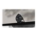 LOGI Brio 300 Full HD webcam - GRAPHITE