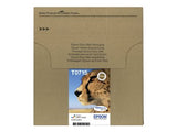 EPSON 2LB EasyMail T071 Cheetah