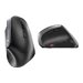 CHERRY MW 4500 Souris sans fil infraroug