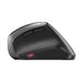 CHERRY MW 4500 Souris sans fil infraroug
