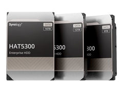 SYNOLOGY HAT5300 12To SATA HDD