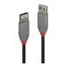 LINDY 0.5m USB 2.0 Type A Cable
