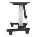 NEOMOUNTS Motorized Mobile Floor Stand