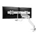 NEOMOUNTS Next Core Desk Mount 2 screens