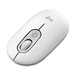 CHERRY MW 2310 2.0 Souris sans fil