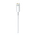 LINDY 0.5m USB Type C to Lightning Cable