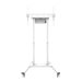 NEOMOUNTS Move Lift Motorised Stand