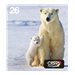 EPSON TONER NOIR 2500P POUR WF