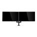 AOC AS110D0 Monitor arm Dual