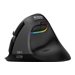 URBAN FACTORY ERGO PRO SOURIS SANS FIL