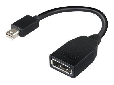 LENOVO Mini-DisplayPort to DP Adapter