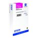 EPSON 5LB T6066 ink cartridge light mag