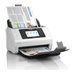 EPSON Scanner A4 network and Wifi