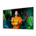 SAMSUNG QB55C 55p UHD 16/7 350nit