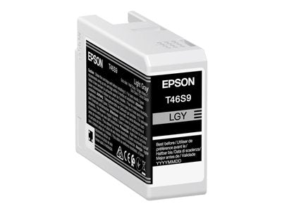 EPSON 1LB Singlepack Light Gray T46S9