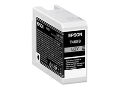 EPSON 1LB Singlepack Light Gray T46S9