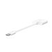 BELKIN Rockstar 3.5mm Audio