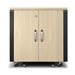 APC NetShelter Soundproof Server Rack 12