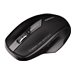 CHERRY MW 2310 2.0 Souris sans fil