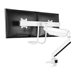 NEOMOUNTS NM-D775DXWHITE Desk Mount