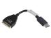 I-TEC Adapter DisplayPort zu HDMI