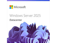 MS OEM WIN Svr Datacntr 2025 16C (EN)