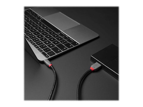 LINDY 0.5m USB 3.2 Type C to Micro-B Cable Anthra Line