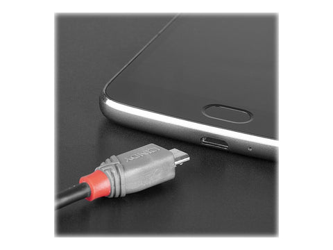 LINDY Câble USB 2.0 Type C vers Micro-B Anthra Line 1m
